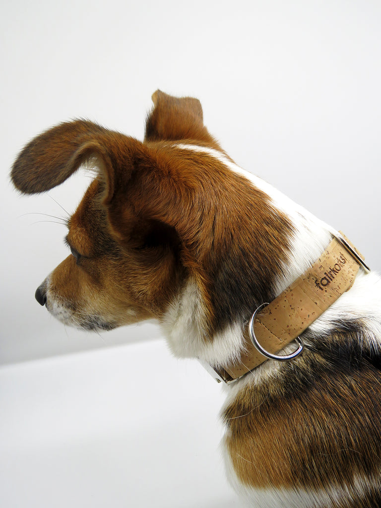 | Kork-Hundehalsband " Bonnie"